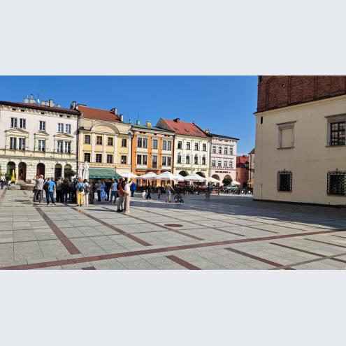 Wyjazdowe Posiedzenie Zarządu SEP 13-14.09.2025 r. Tarnów-Bochnia-Niepołomice